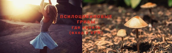 мяу мяу мука Нягань