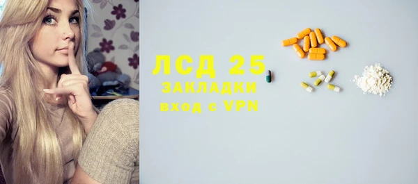 индика Няндома