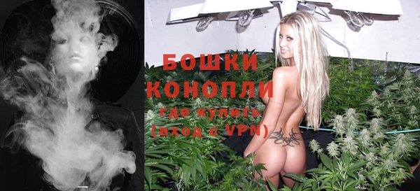 индика Няндома
