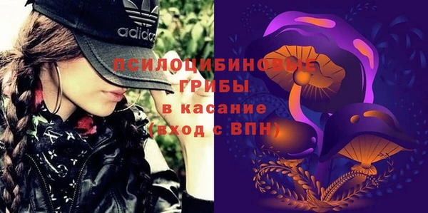 круглые Осинники
