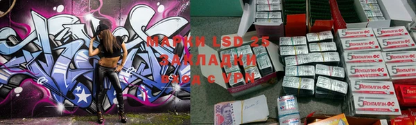 индика Няндома