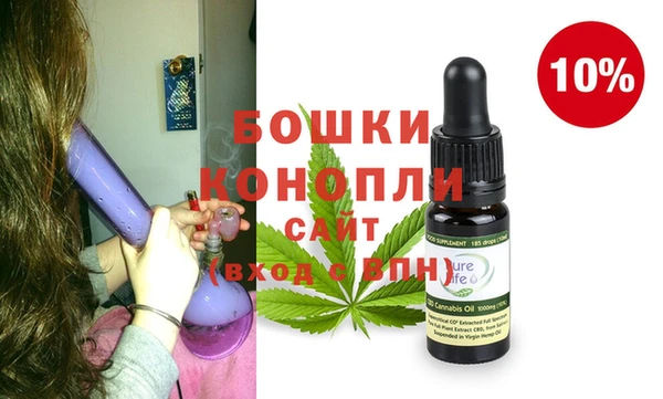 индика Няндома