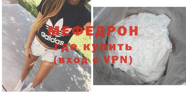 индика Няндома