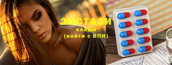 индика Няндома