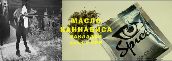 индика Няндома