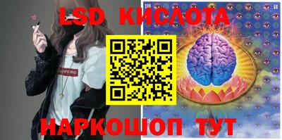 гашик Гай