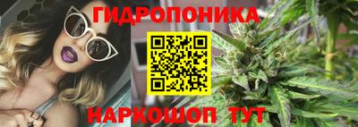 гашик Гай