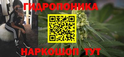 гашик Гай