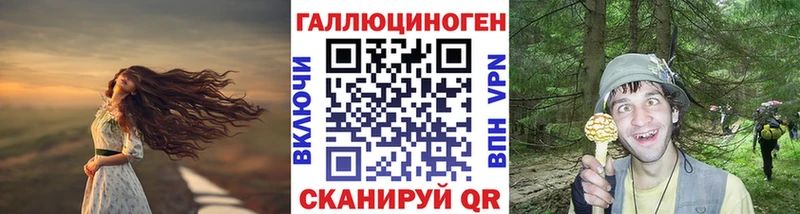 как найти наркотики  Знаменск  kraken онион  shop Telegram  Псилоцибиновые грибы Magic Shrooms 