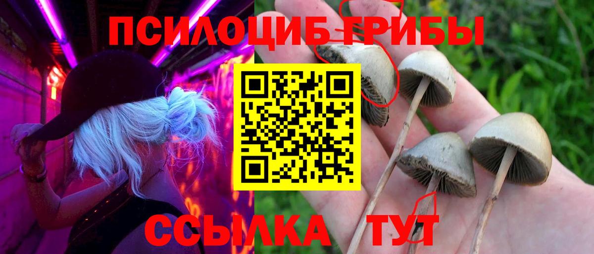 Галлюциногенные грибы мухоморы  Вход с VPN  Знаменск 
