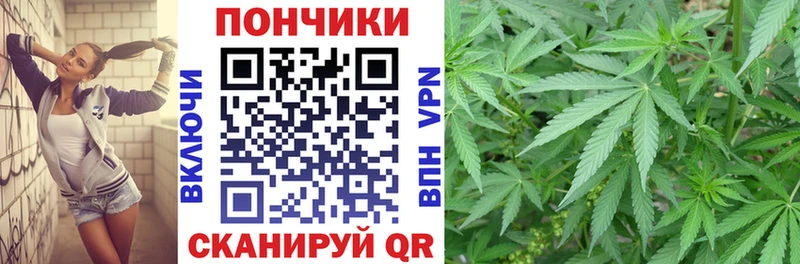 Шишки марихуана марихуана  Знаменск 